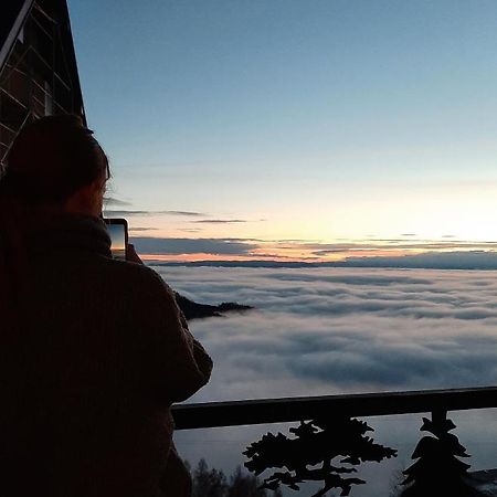 Vihor A21 Leilighet Kopaonik Eksteriør bilde